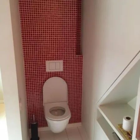Spacious House With Big Garden Close To The * Gent